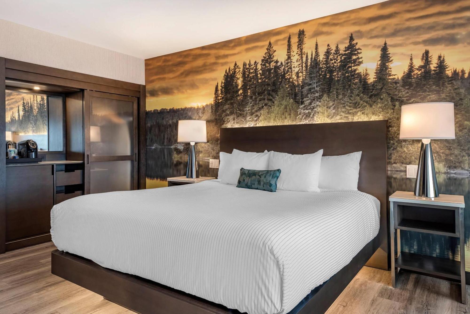 Shelby Twp Cambria Hotel Shelby Township - Detroit Utica מראה חיצוני תמונה